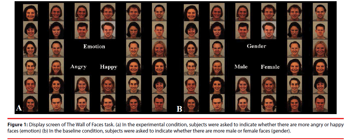 neuropsychiatry-Display-screen